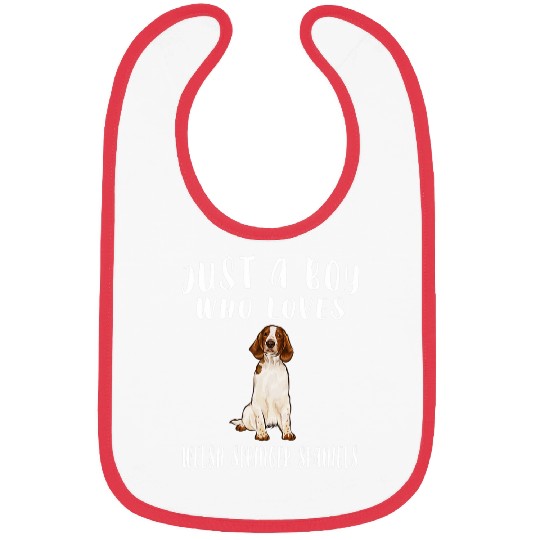 Just A Boy Who Loves Welsh Springer Spaniel Bibs
