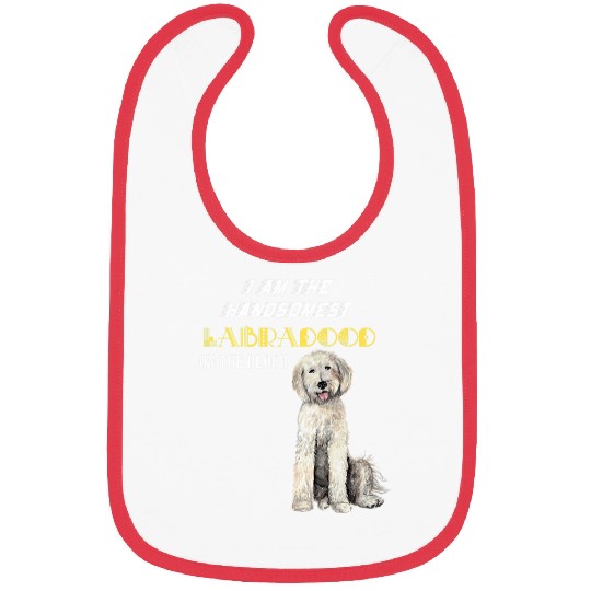 The handsomest labradoodle Bibs
