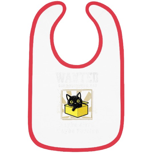 Theoritical Quantum Physics Funny Physics Jokes Schrodinger Bibs