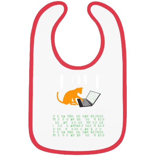 I am Programmer IT Technik Computer Admin Dev Informatist Bibs