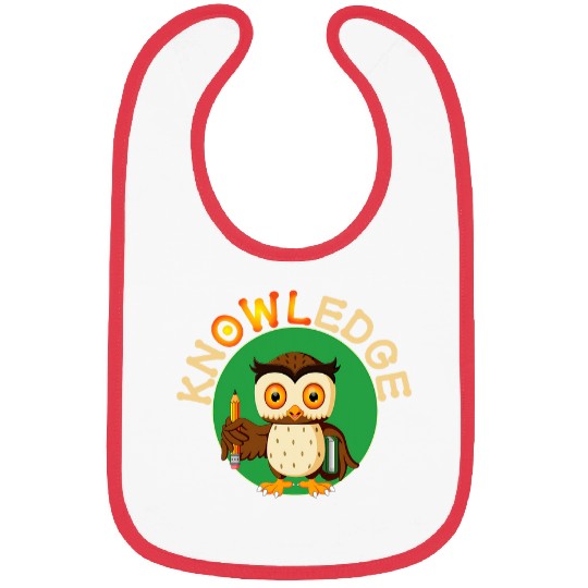 Knowledge Cute Owl Pun School 1st Grade Kids Gift Bibs