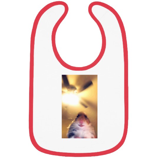 Hamster Meme Camera Hamster Funny Webcam Bibs