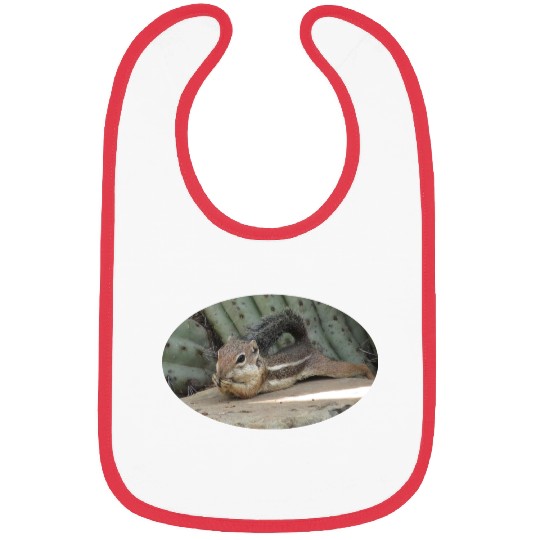 Harris's antelope squirrel Bibs