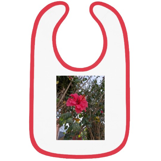 Hibiscus Bibs