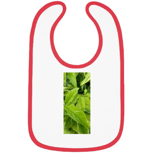 beautiful green plant in the garden Bibs