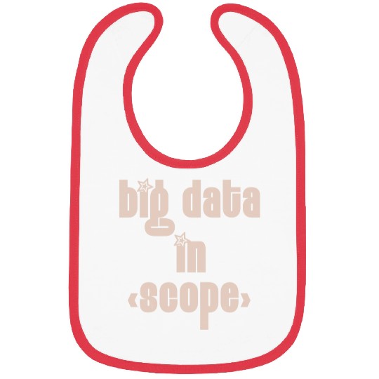 Big Data in Scope - Programmer It Bibs