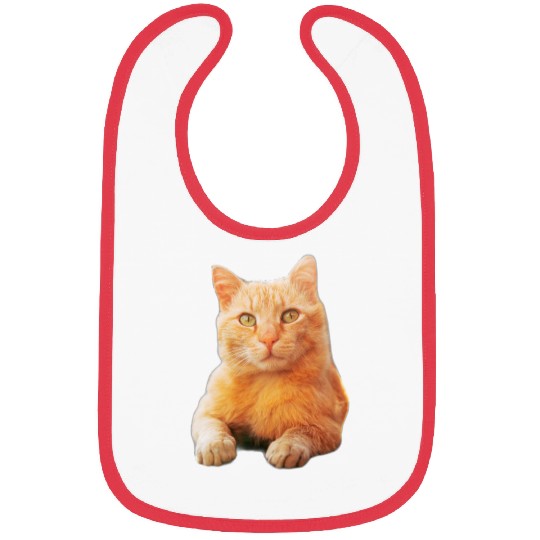 Orange Cat Bibs