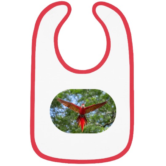 bird physiology 1 Bibs