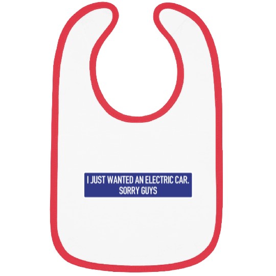 I just wanted an electric car - Anti Elon Musk no Bibs