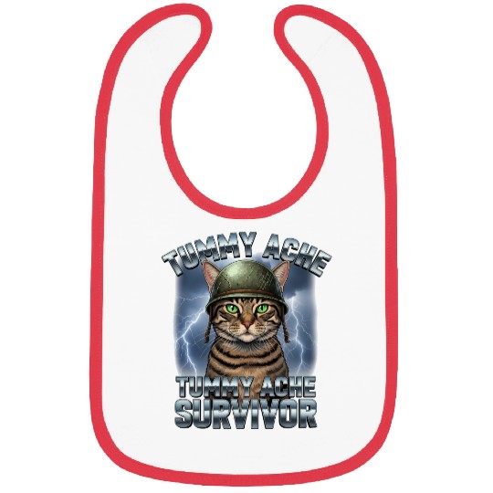 Funny Brave Cat Tummy Ache Survivor Meme Art Bibs