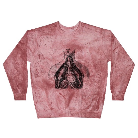 Torso medical illustration Blast Sweatshirts