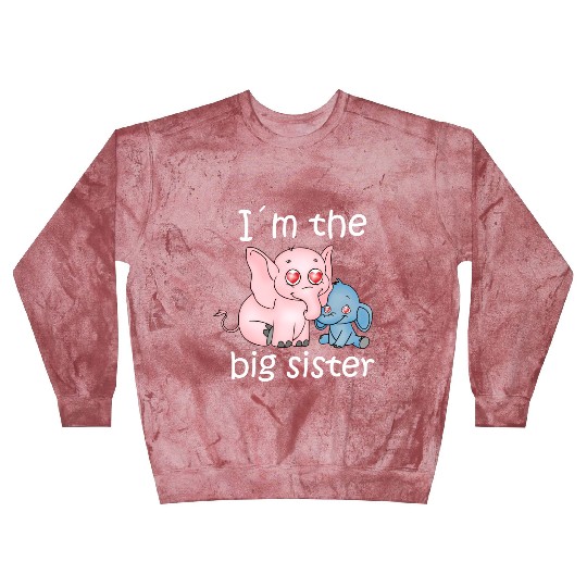 I'm the Big Sister Blast Sweatshirts