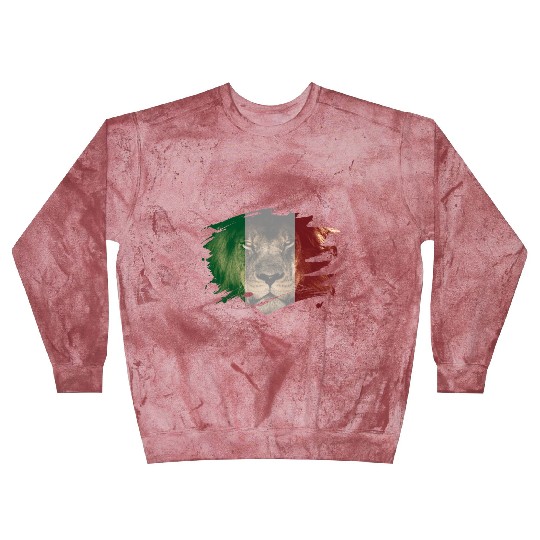 Italy Flag & African Lion Picture Blast Sweatshirts