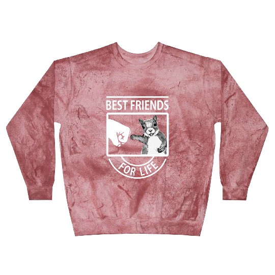 best friend for life cat squirrel friend Blast Sweatshirts