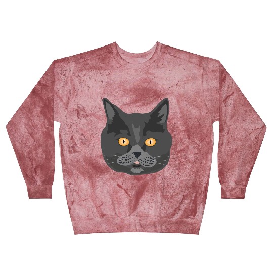 Cat British Shorthair Cat Face - Gift Idea Blast Sweatshirts