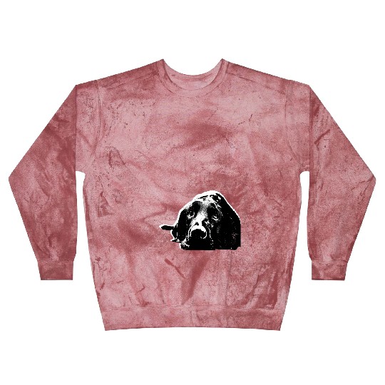 Black Labrador Retriever Blast Sweatshirts