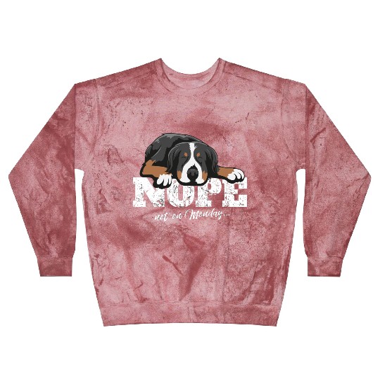 Bernese Mountain Dog Gift Blast Sweatshirts