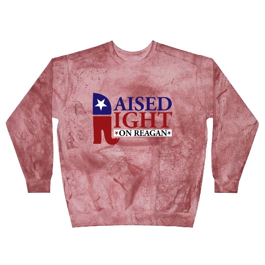 Raised Right On Reagan 80'S Nostalgia Blast Sweatshirts