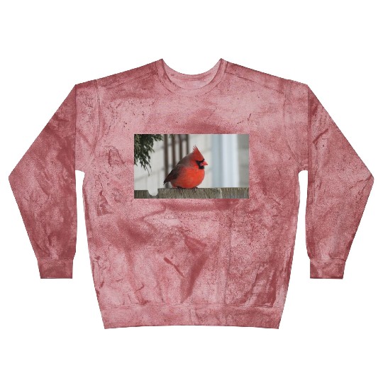Brilliant Cardinal Bird 2 Blast Sweatshirts