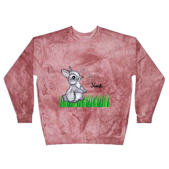 Bunny Name Gift Noah Blast Sweatshirts