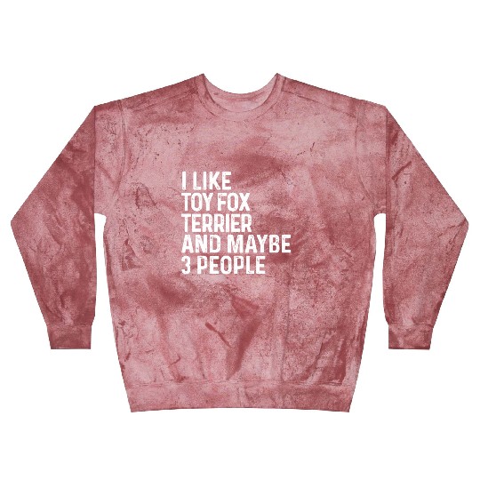 I Like Toy Fox Terrier And Maybe 3 People Dog Blast Sweatshirts