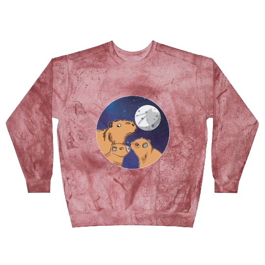 Three Capybara Moon Funny Pelican Capybara Wolf me Blast Sweatshirts