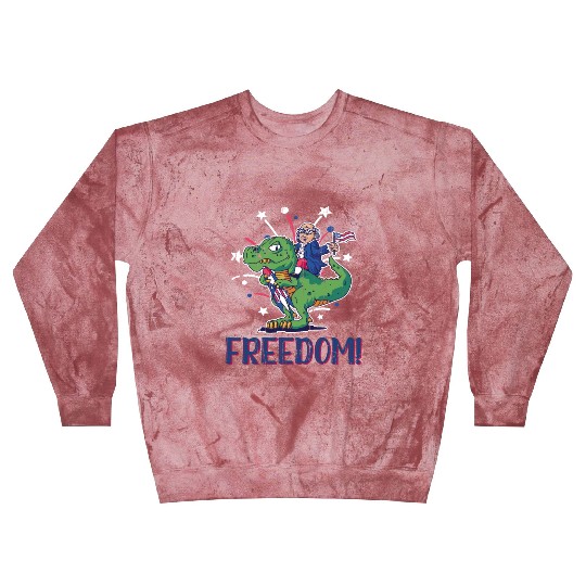 Freedom America Washington Dinosaur 4th Of July Blast Sweatshirts