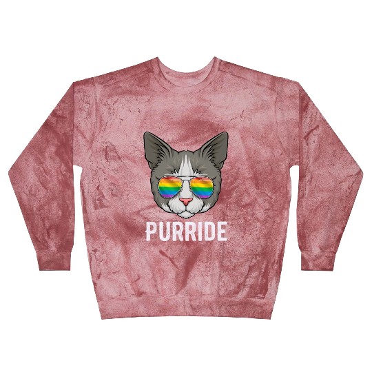 Cat Pride LGBTQ Sunglasses Rainbow Flag Kitten Blast Sweatshirts