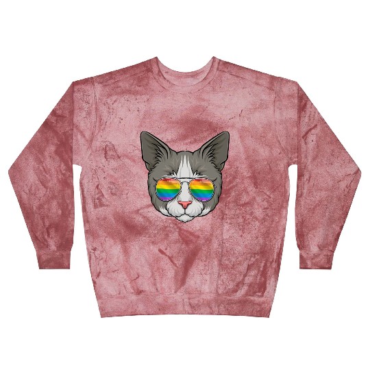 Cat LGBTQ Sunglasses Rainbow Flag Kitten Gay Pride Blast Sweatshirts