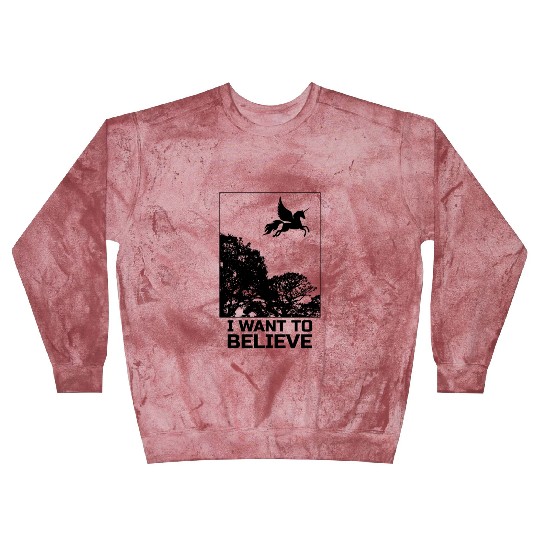 Unicorn "I Want To Believe" UAP Outfit Alien Ufo Blast Sweatshirts