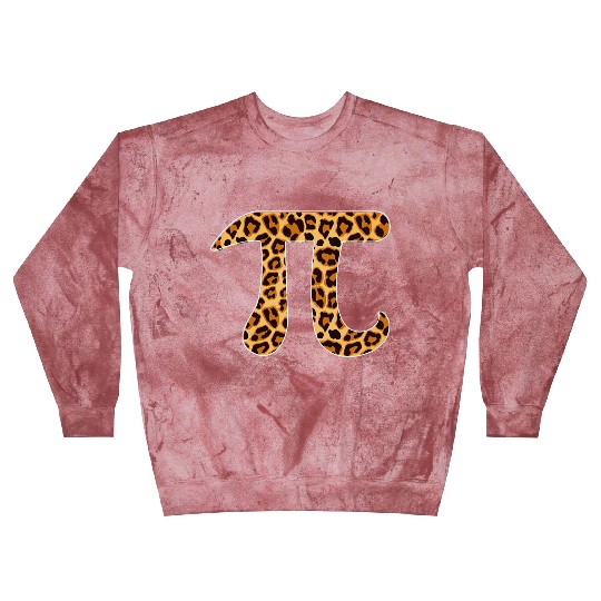 Pi Leopard Print Skin Cheetah Pi Day Math Nerd Blast Sweatshirts