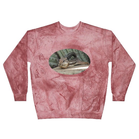 Harris's antelope squirrel Blast Sweatshirts