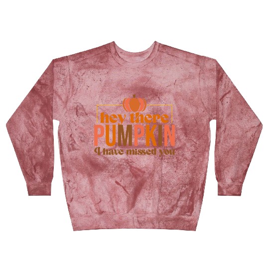 Hey There Pumpkin Blast Sweatshirts