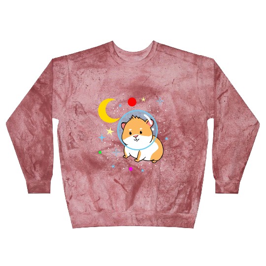 Space Guinea Pig for Guinea Pig Lover Blast Sweatshirts