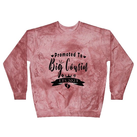 Copy of Promoted To Big Cousin Est 2023 Blast Sweatshirts