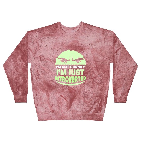 I'm Not Cranky - I'm Just Introverted Introvert Blast Sweatshirts