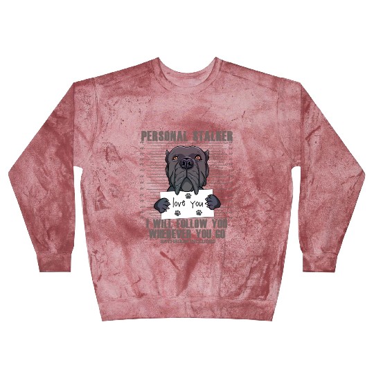Funny Cane Corso Dog Italian Mastiff Lover Gift Blast Sweatshirts