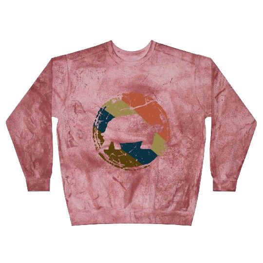 Turtle Lover Gift Tortoise Vintage Sea Turtle Blast Sweatshirts