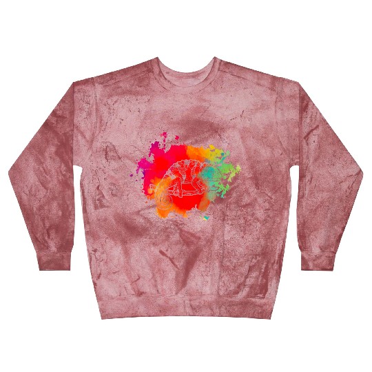 Chameleon Blast Sweatshirts