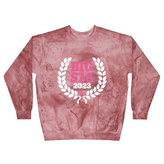 Big Sis 2023 - Big Sister Baby Birth Girl Gift Blast Sweatshirts