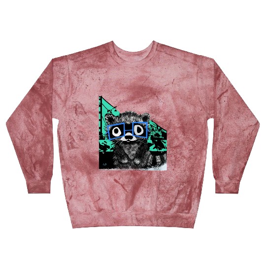 Raccoon #3 Mary Jane Bookworm Blast Sweatshirts