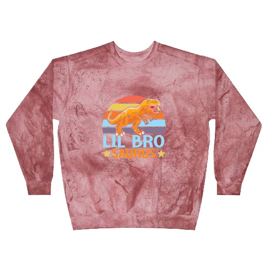 Lil Bro Saurus Best Bro Ever Brotherhood Dinosaur Blast Sweatshirts