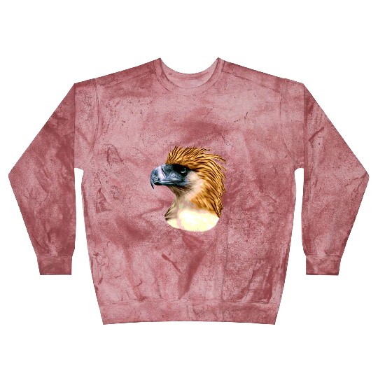 Great Philippine Eagle Outfit Blast Sweatshirts