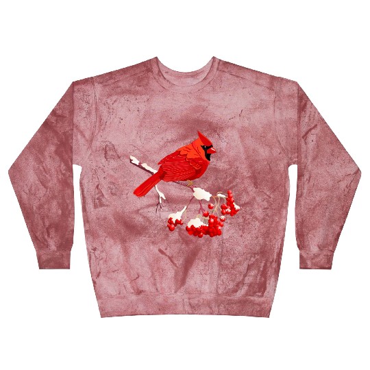 Awesome Red Cardinal Birds Gift Nature Lover Funny Blast Sweatshirts
