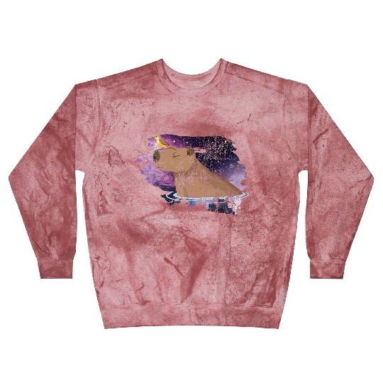 Distressed Capybara And Bird Nature Animal Rodent Blast Sweatshirts