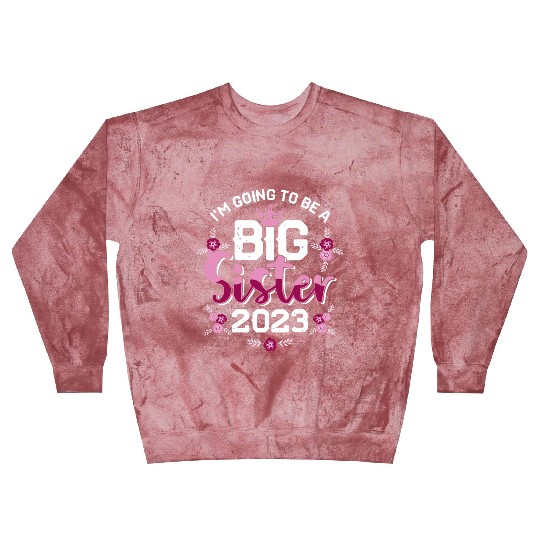 Big Sis 2023 - Big Sister Baby Family Birth Girl Blast Sweatshirts