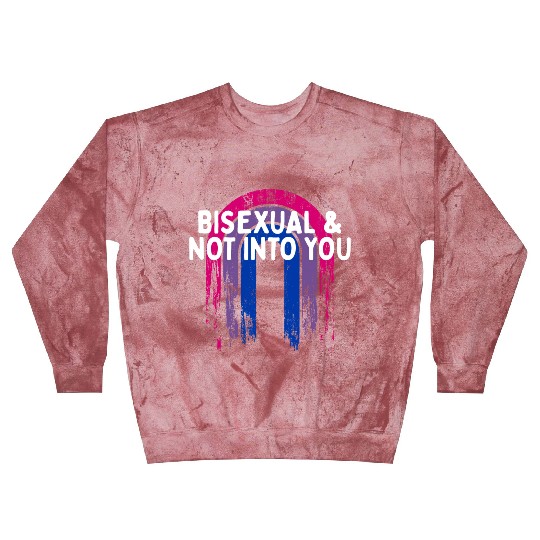 Bisexual & Not into You Bi Single Bi Pride Blast Sweatshirts