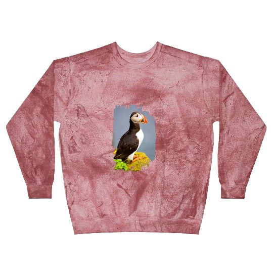 Atlantic Puffin Blast Sweatshirts