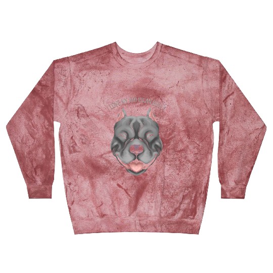 Dog Lover - I Love My American Bully Blast Sweatshirts