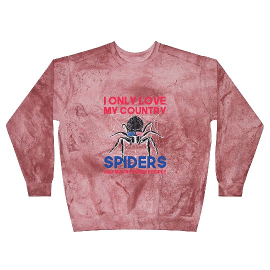 I love america and spiders and maybe three people Blast Sweatshirts